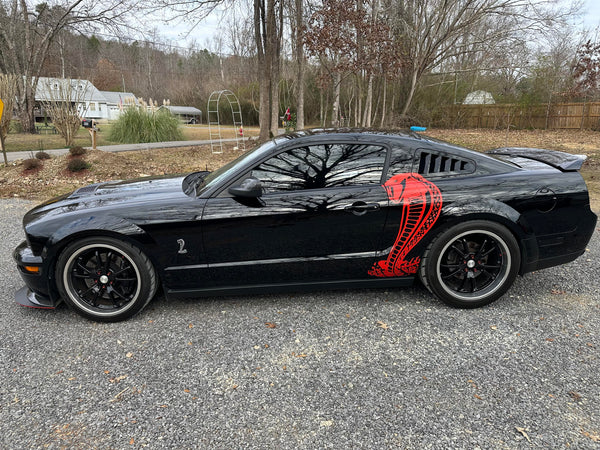 Mustang with tinted windows