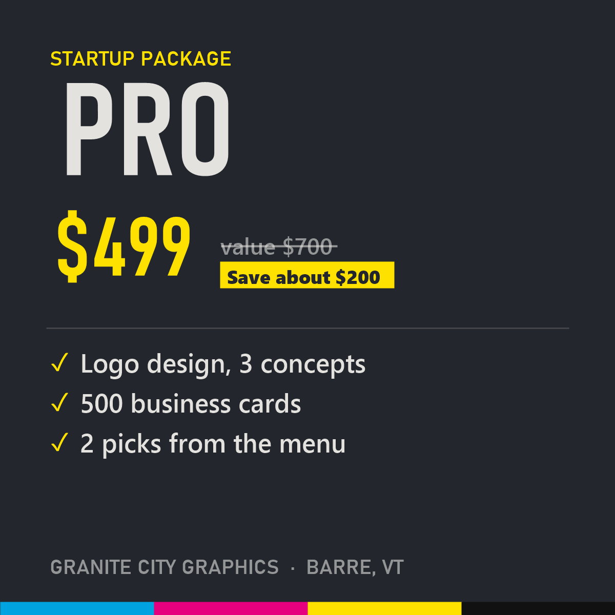 Pro business package: logo, 500 business cards and 2 picks, $499